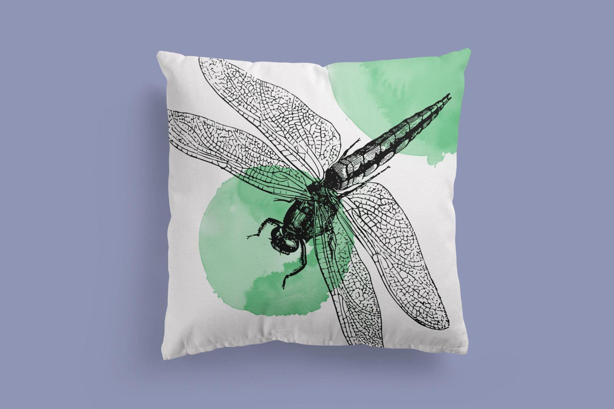 Insects – Vintage Engraving Illustrations