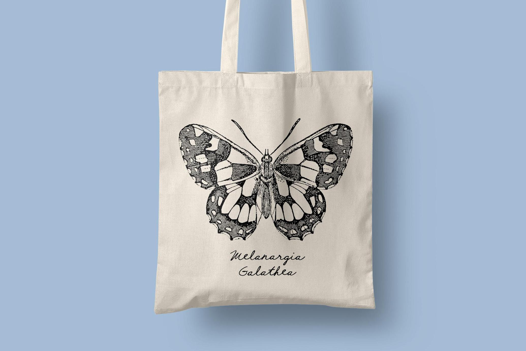 Insects – Vintage Engraving Illustrations