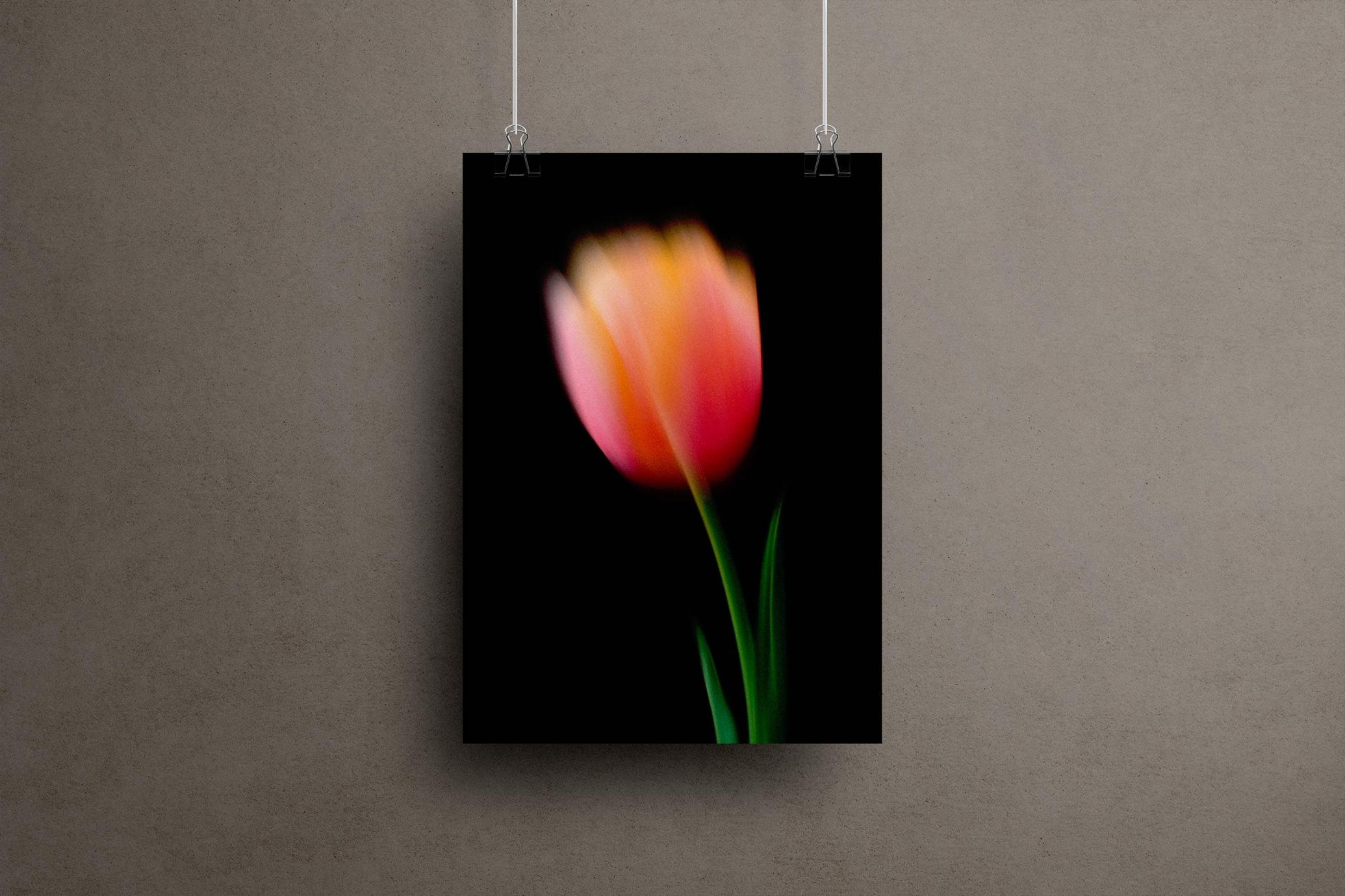 Dream Haze Flower Posters