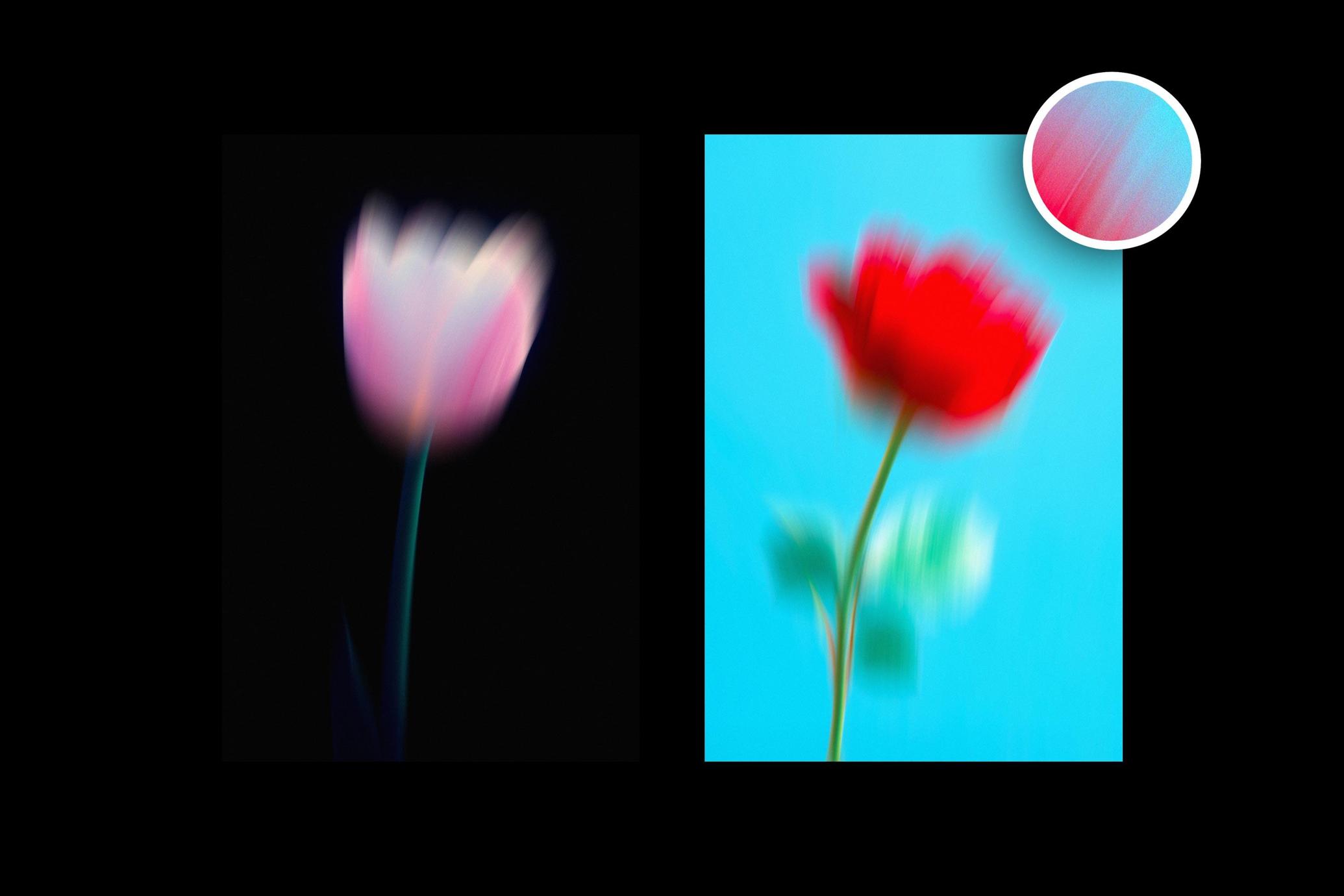 Dream Haze Flower Posters