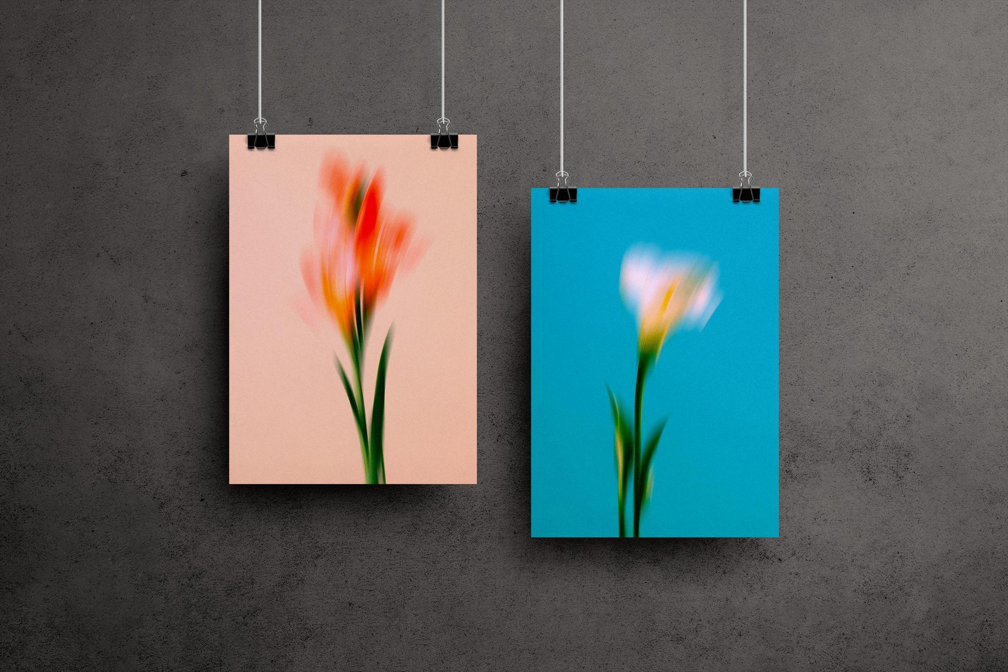 Dream Haze Flower Posters