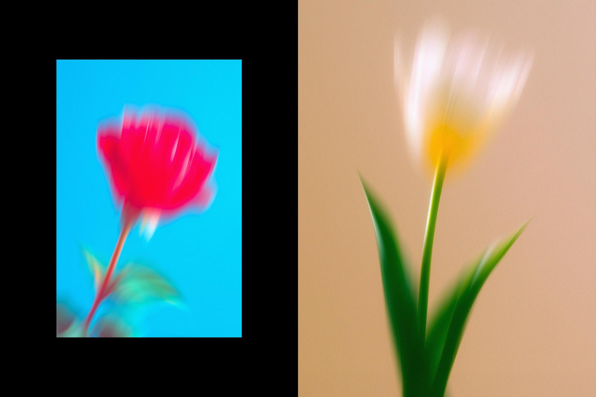 Dream Haze Flower Posters