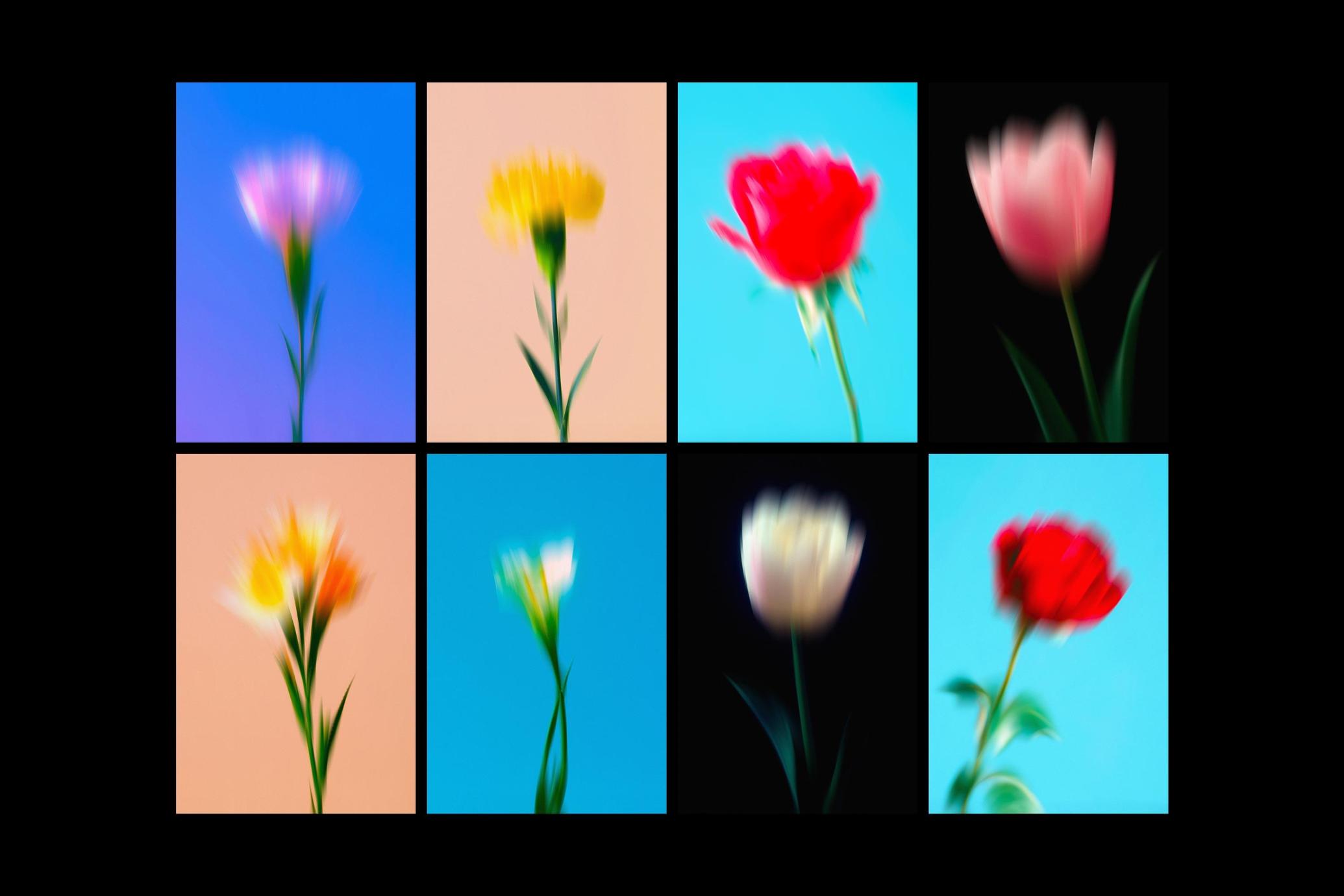 Dream Haze Flower Posters
