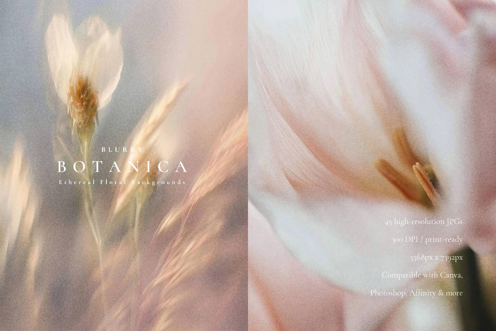 Aesthetic Blurry Floral Backgrounds