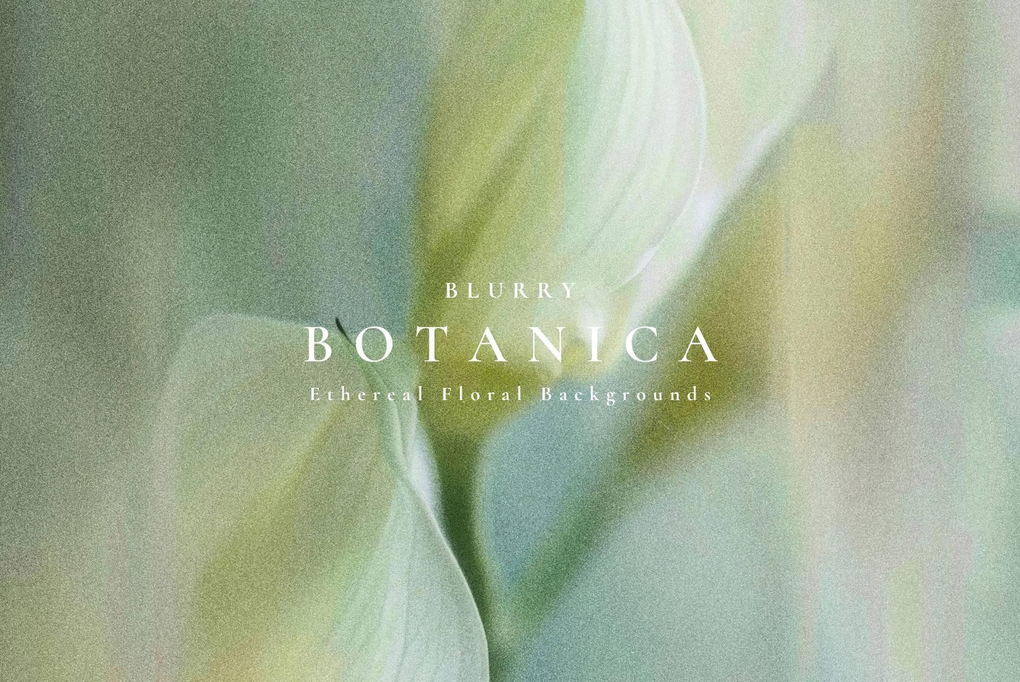 Aesthetic Blurry Floral Backgrounds