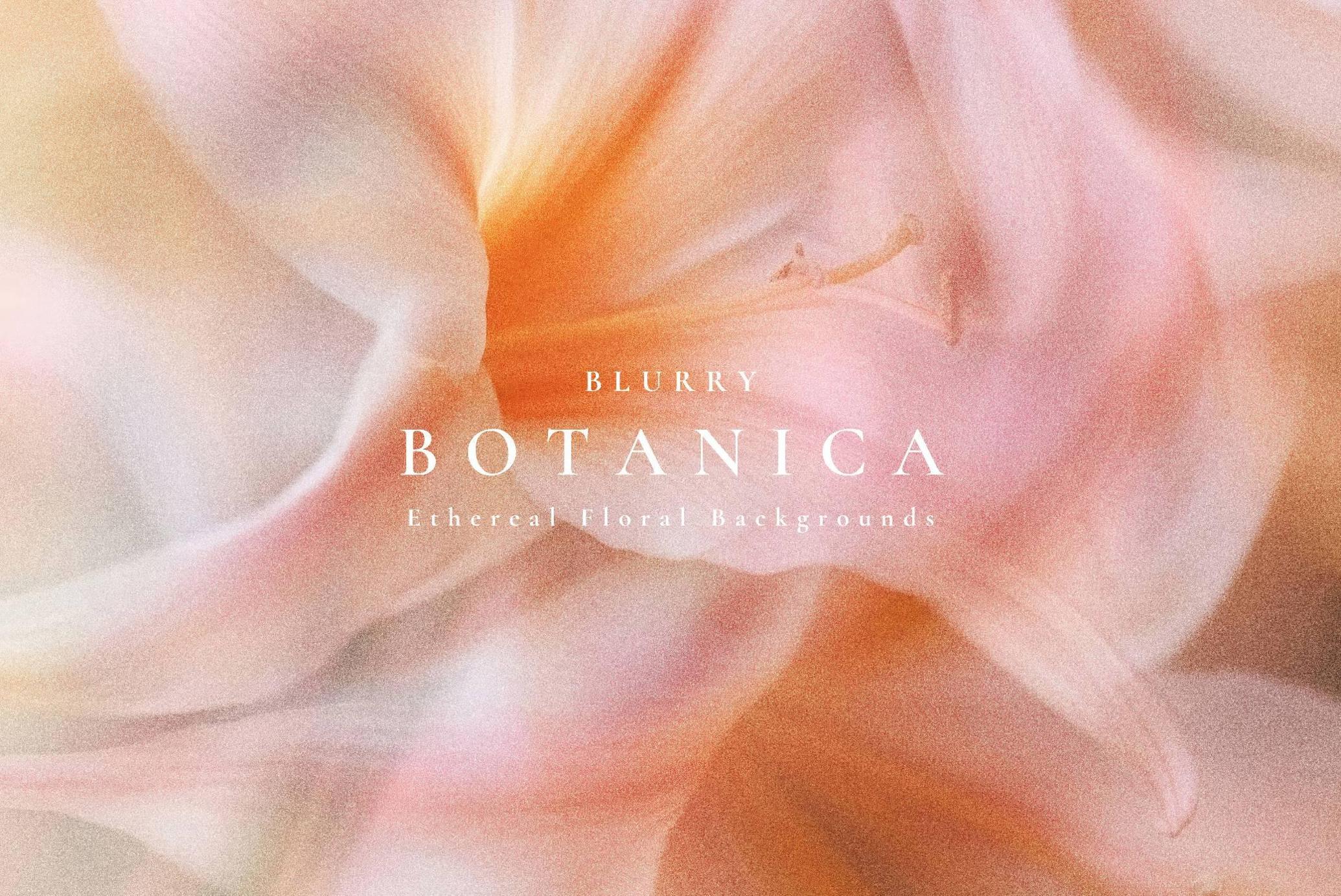 Aesthetic Blurry Floral Backgrounds