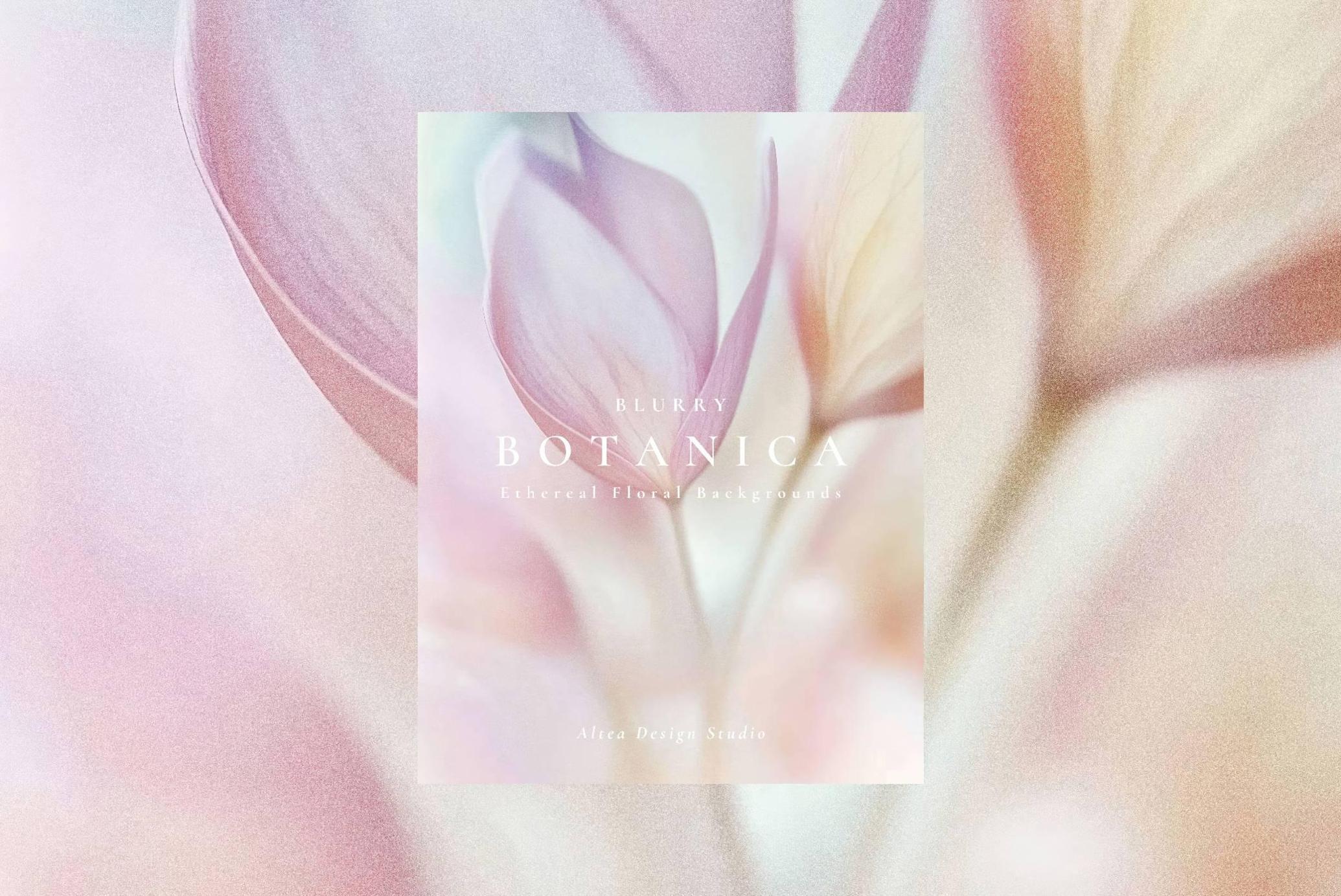Aesthetic Blurry Floral Backgrounds