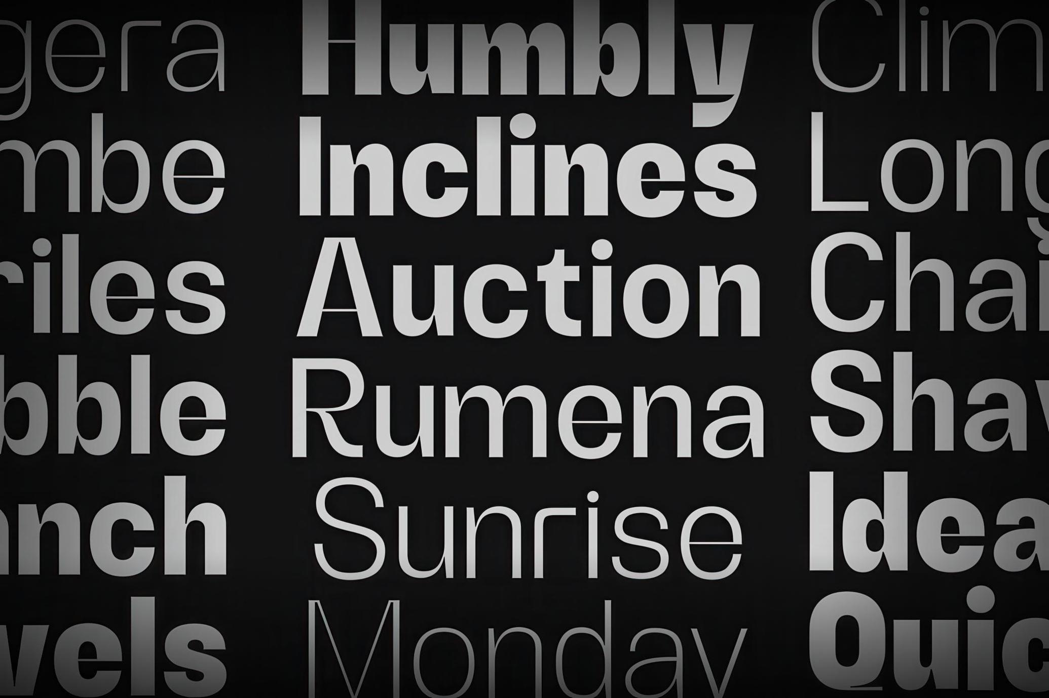 Alerio Sans Serif