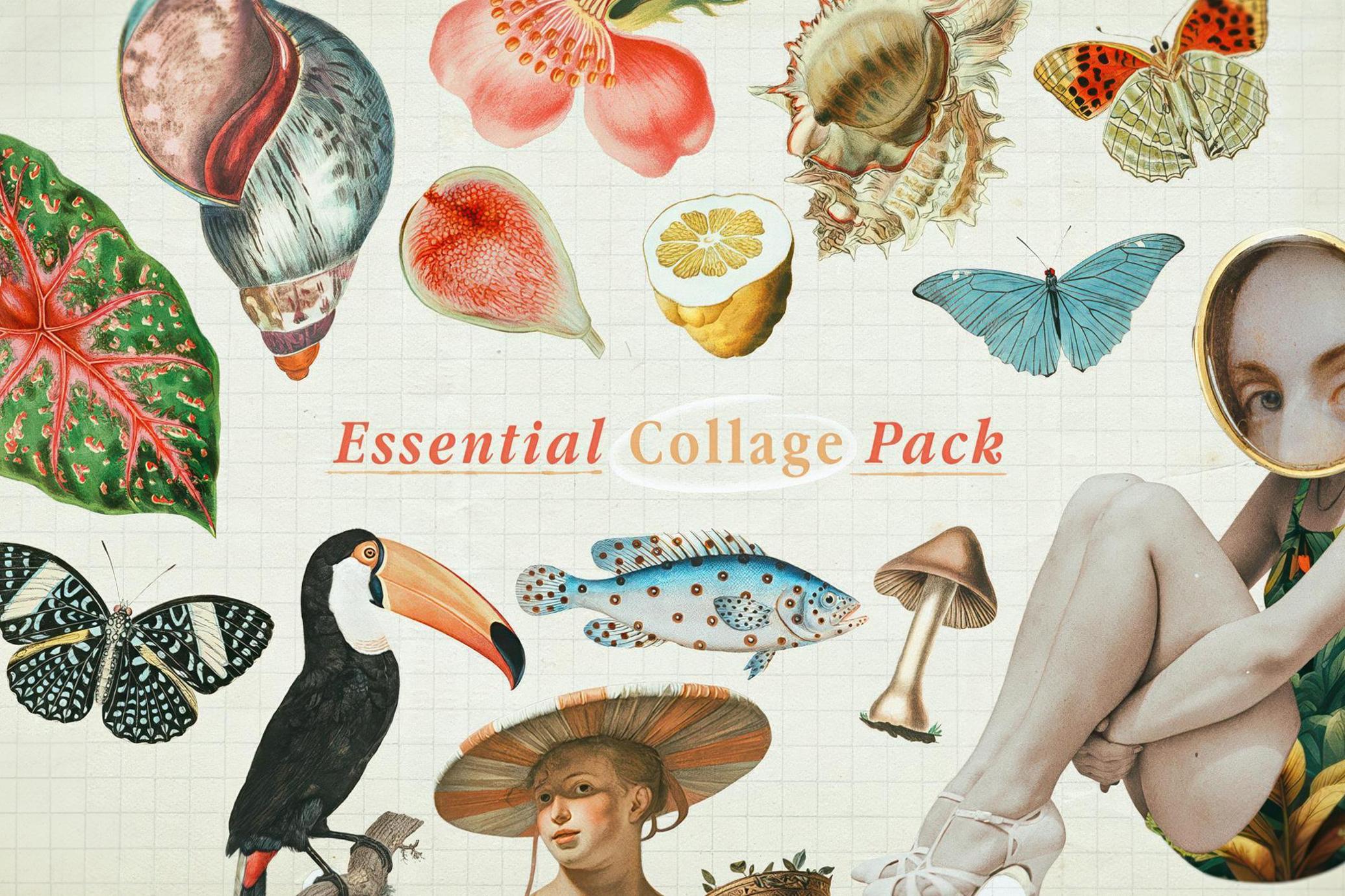 Essential Collage Pack