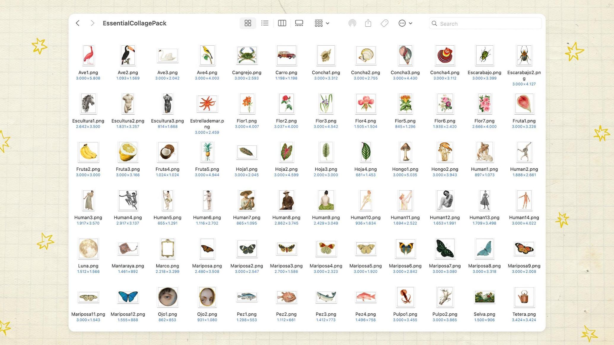 Essential Collage Pack