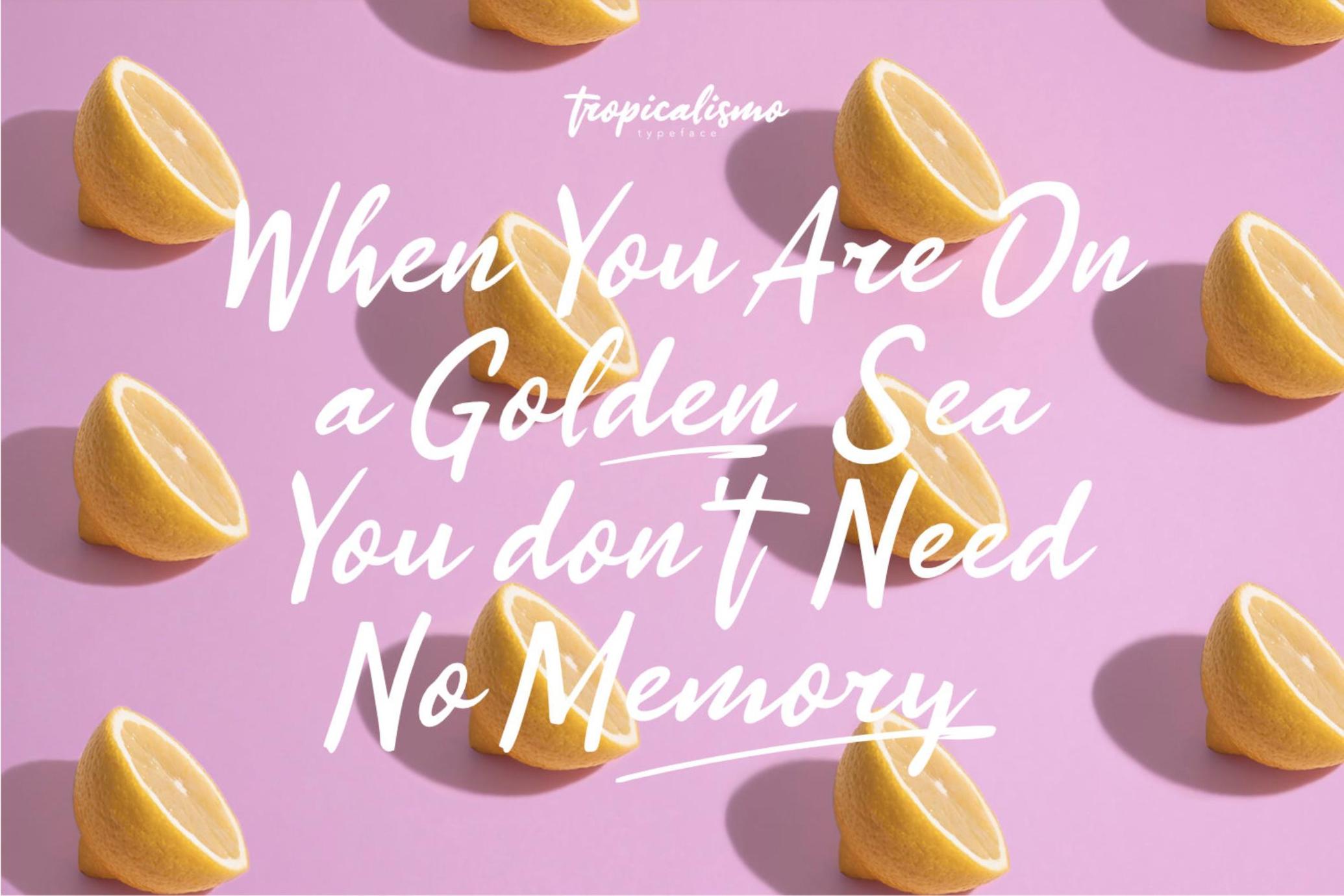 Tropicalismo - Tropical Font