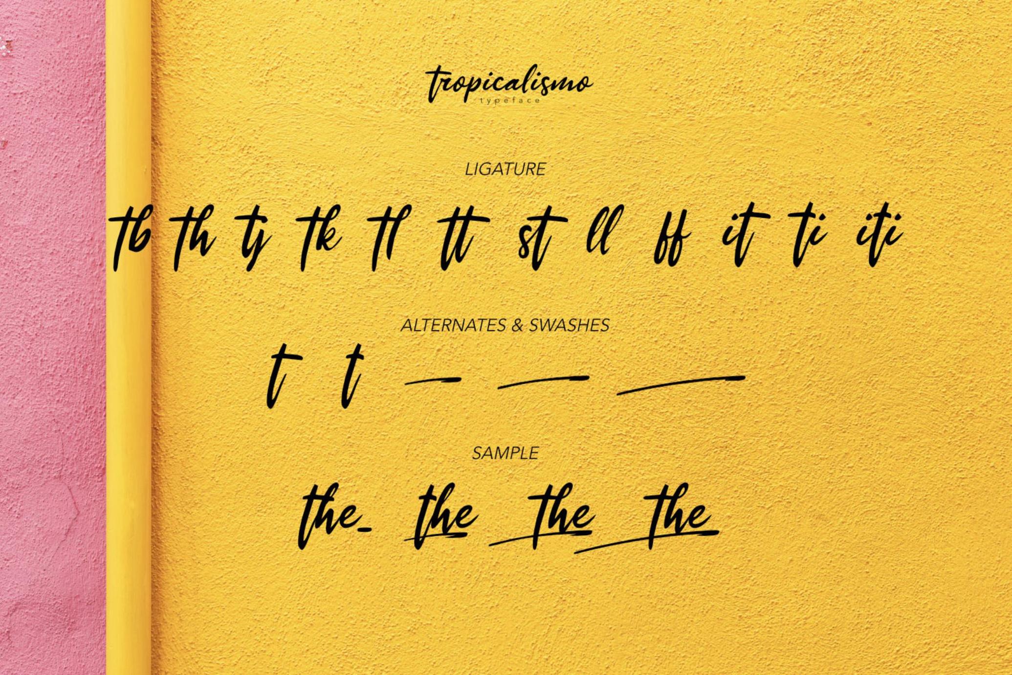 Tropicalismo - Tropical Font