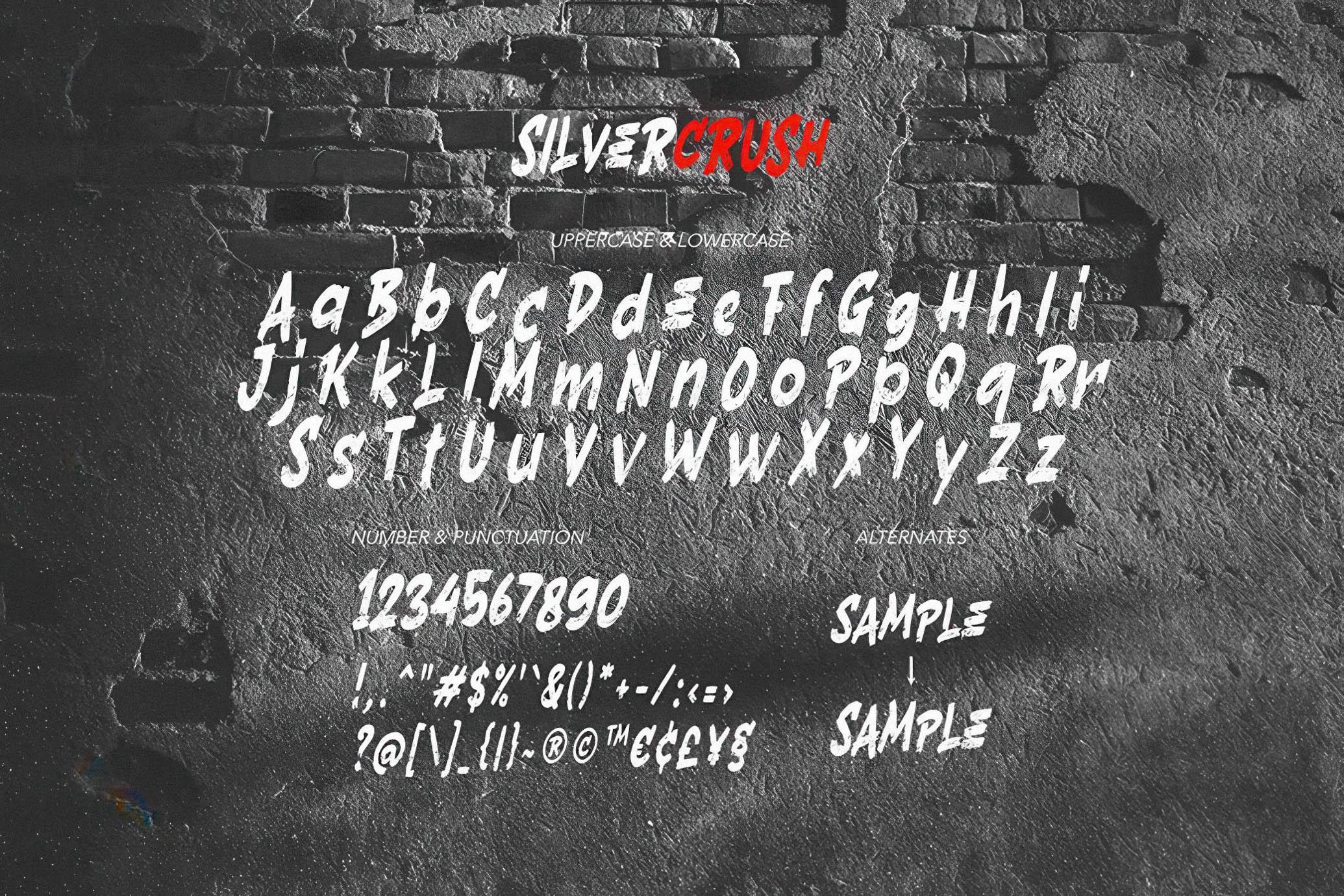 Silvercrush - Rough Brush Font