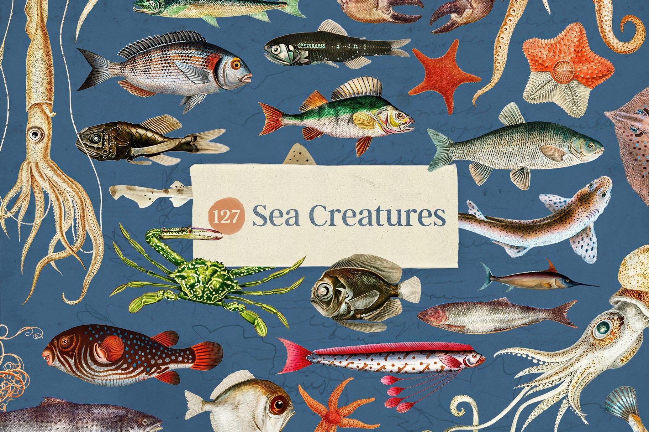 Oceanic Archive — Sea Elements Bundle