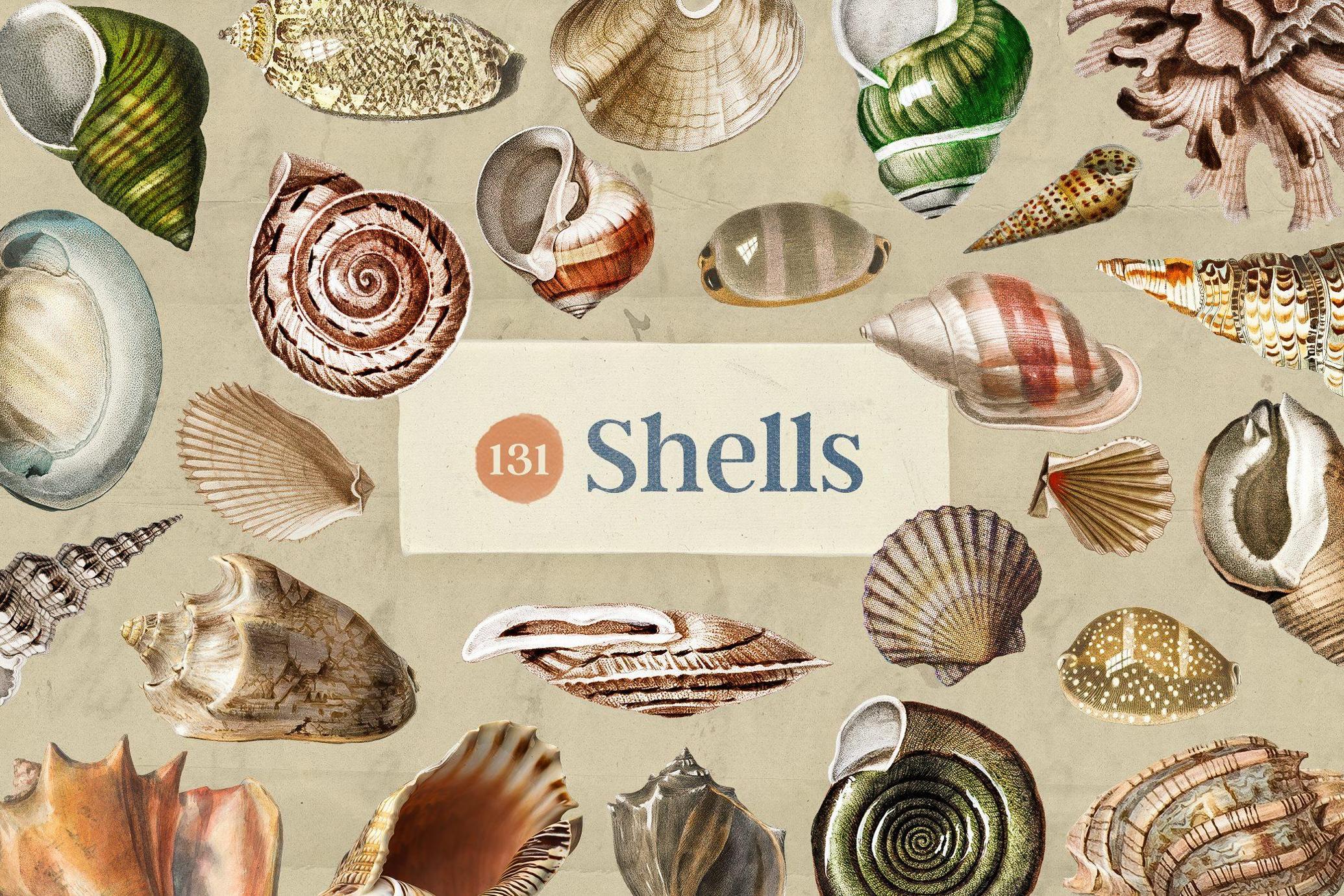 Oceanic Archive — Sea Elements Bundle