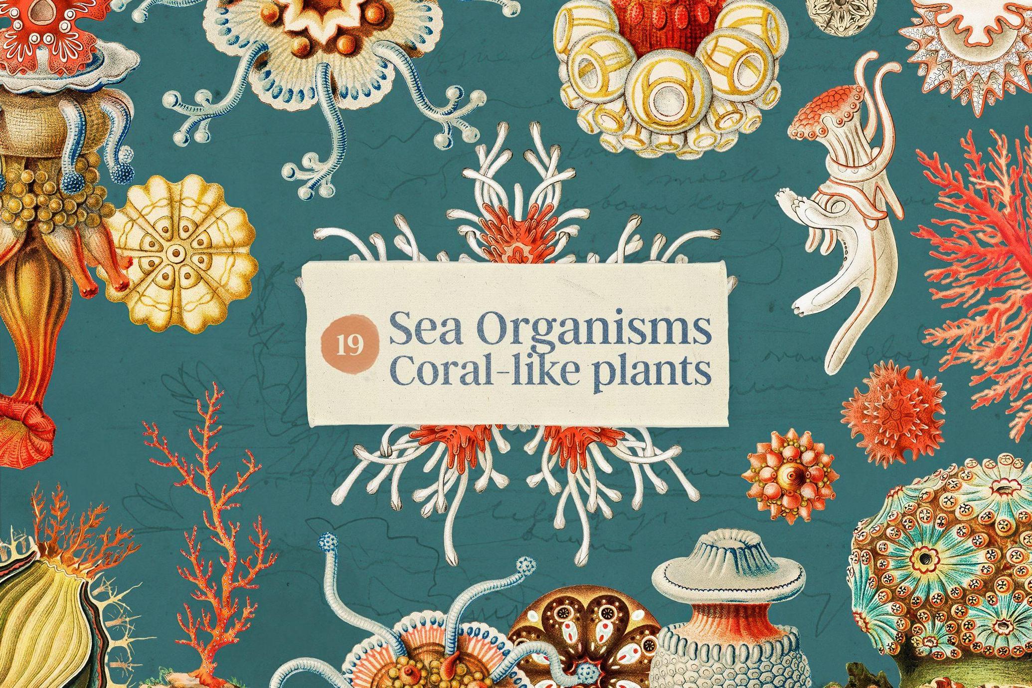 Oceanic Archive — Sea Elements Bundle