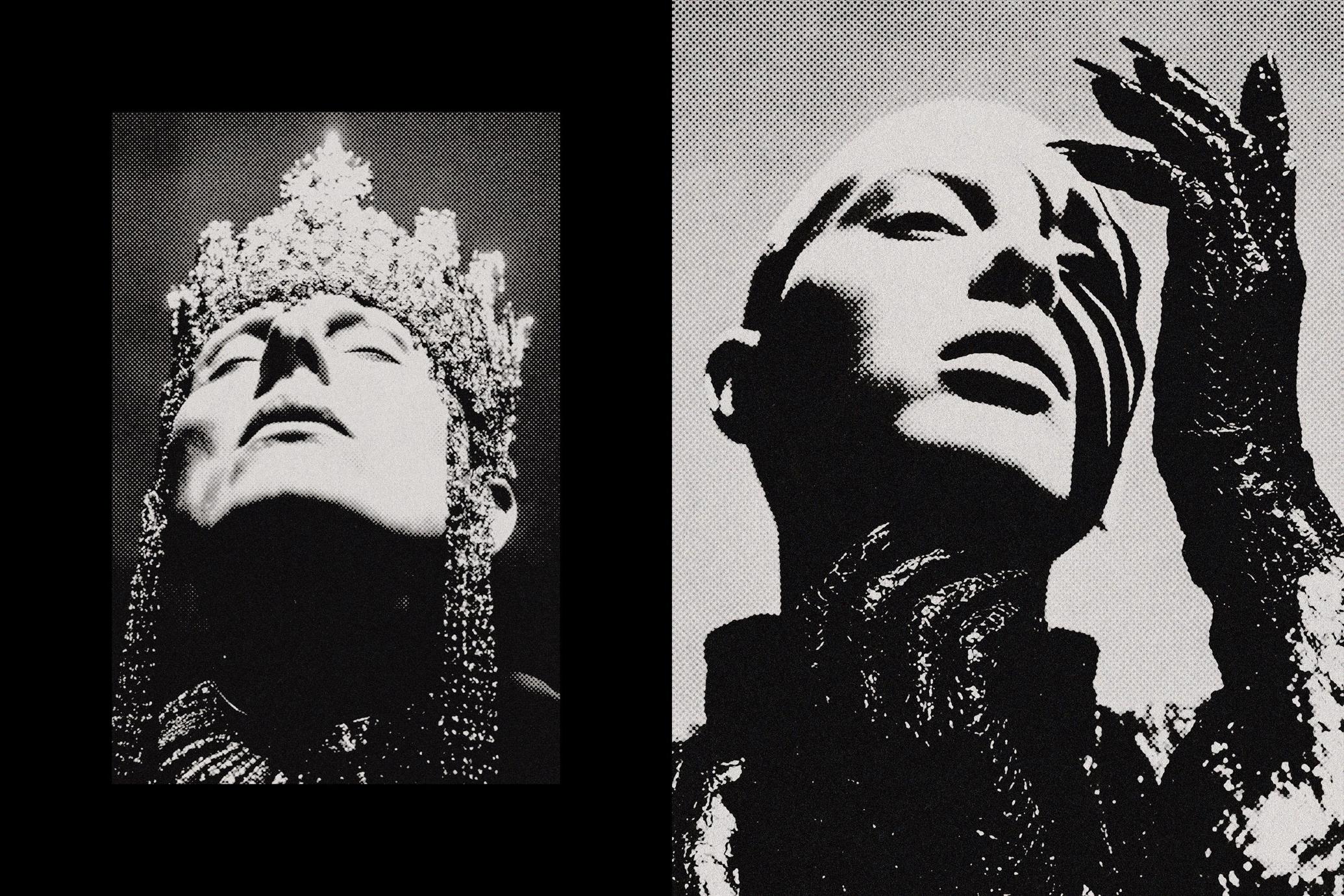 Monochromatic Halftone Photo Effect