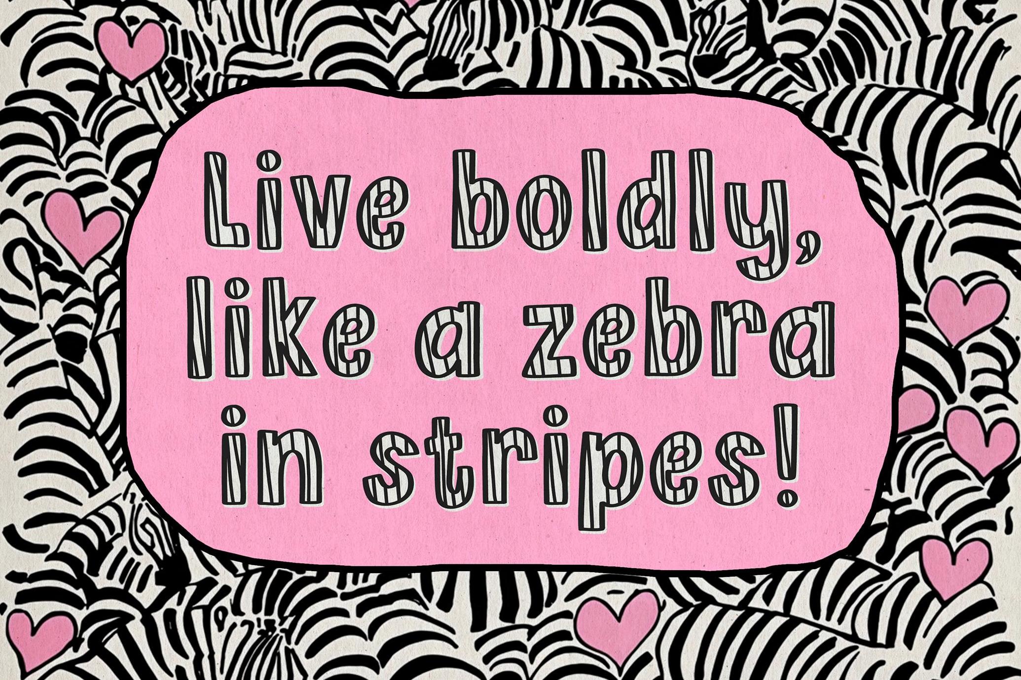 Pink Zebra Quirky Four-Font Family