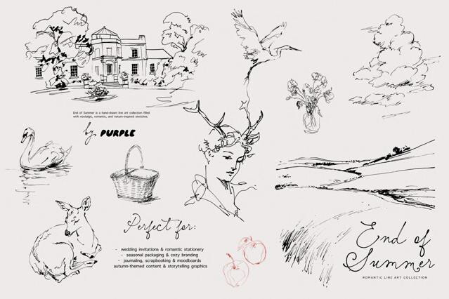 End of Summer: Line Art Collection