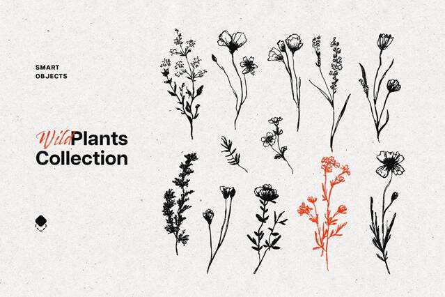 Wild Plants Graphic Set