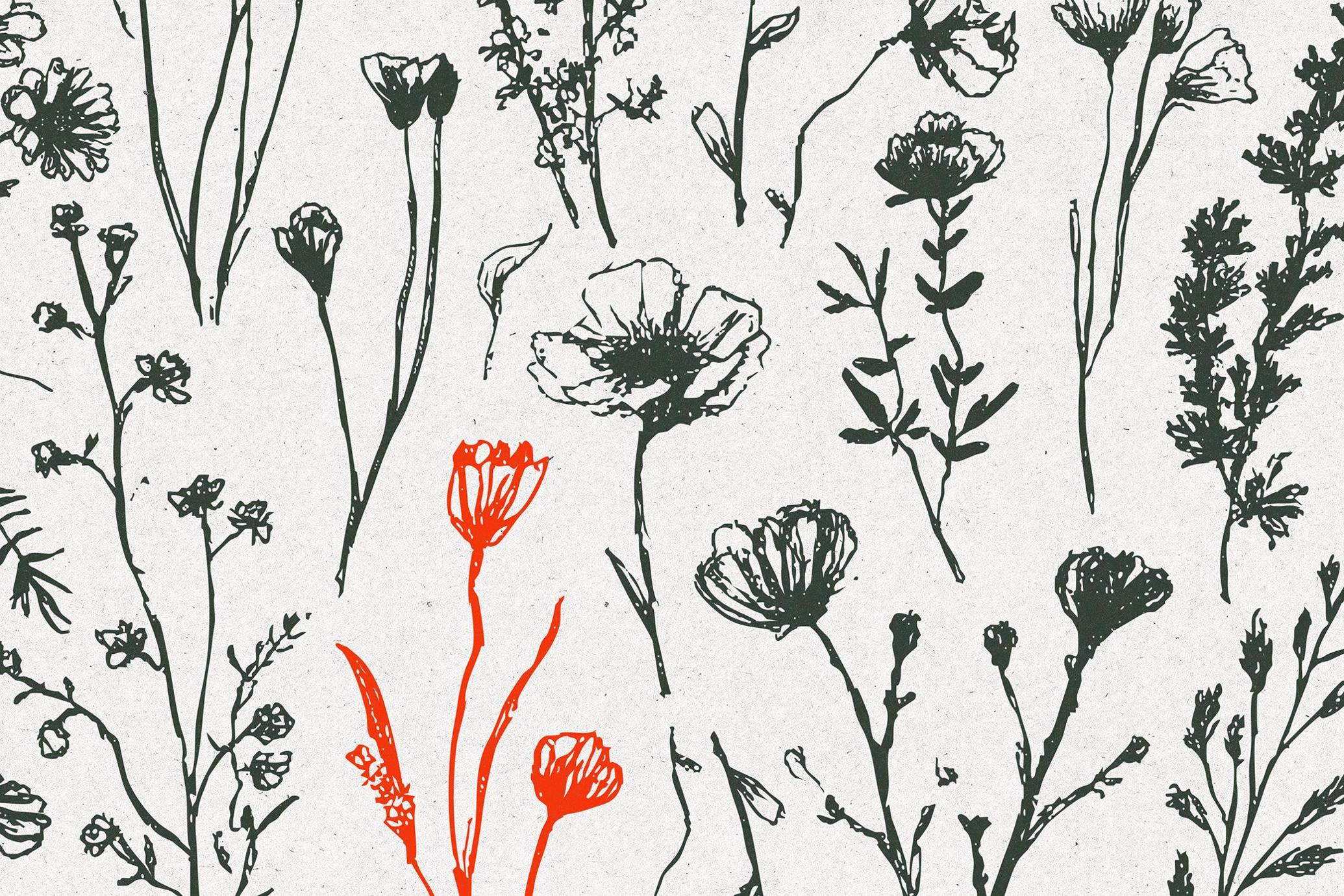 Wild Plants Graphic Set