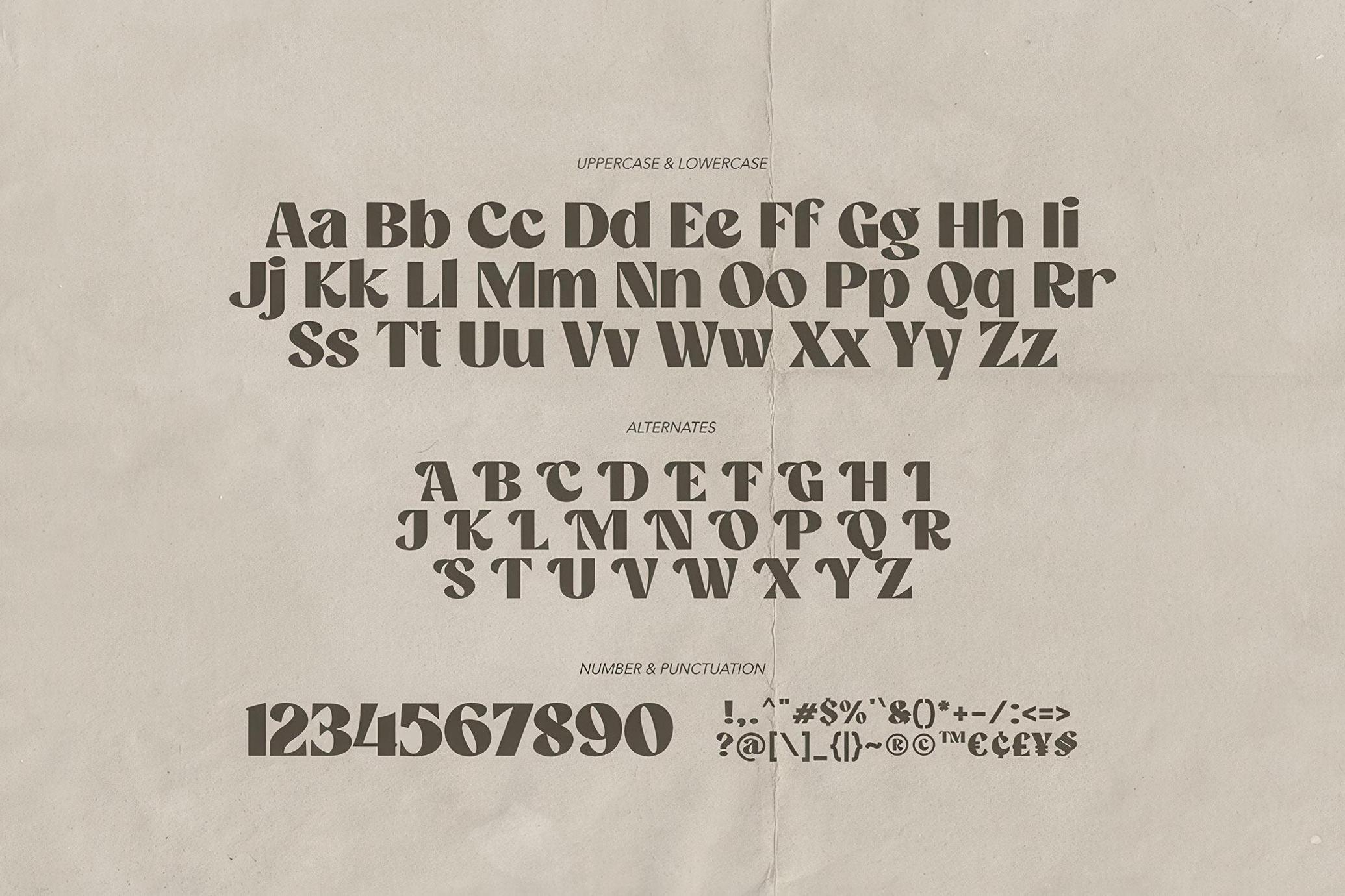 Camera Obscura - Classy Font
