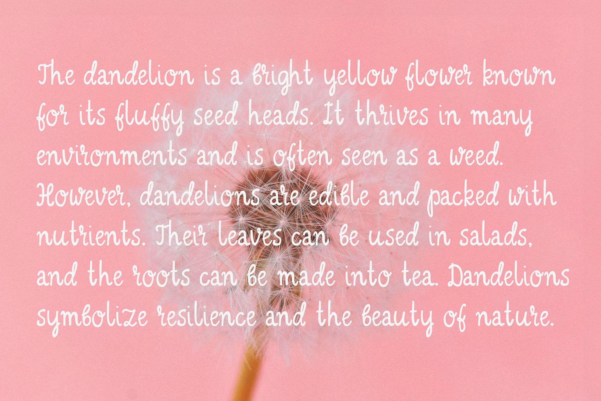 Lemon Frost | Playful Font Trio