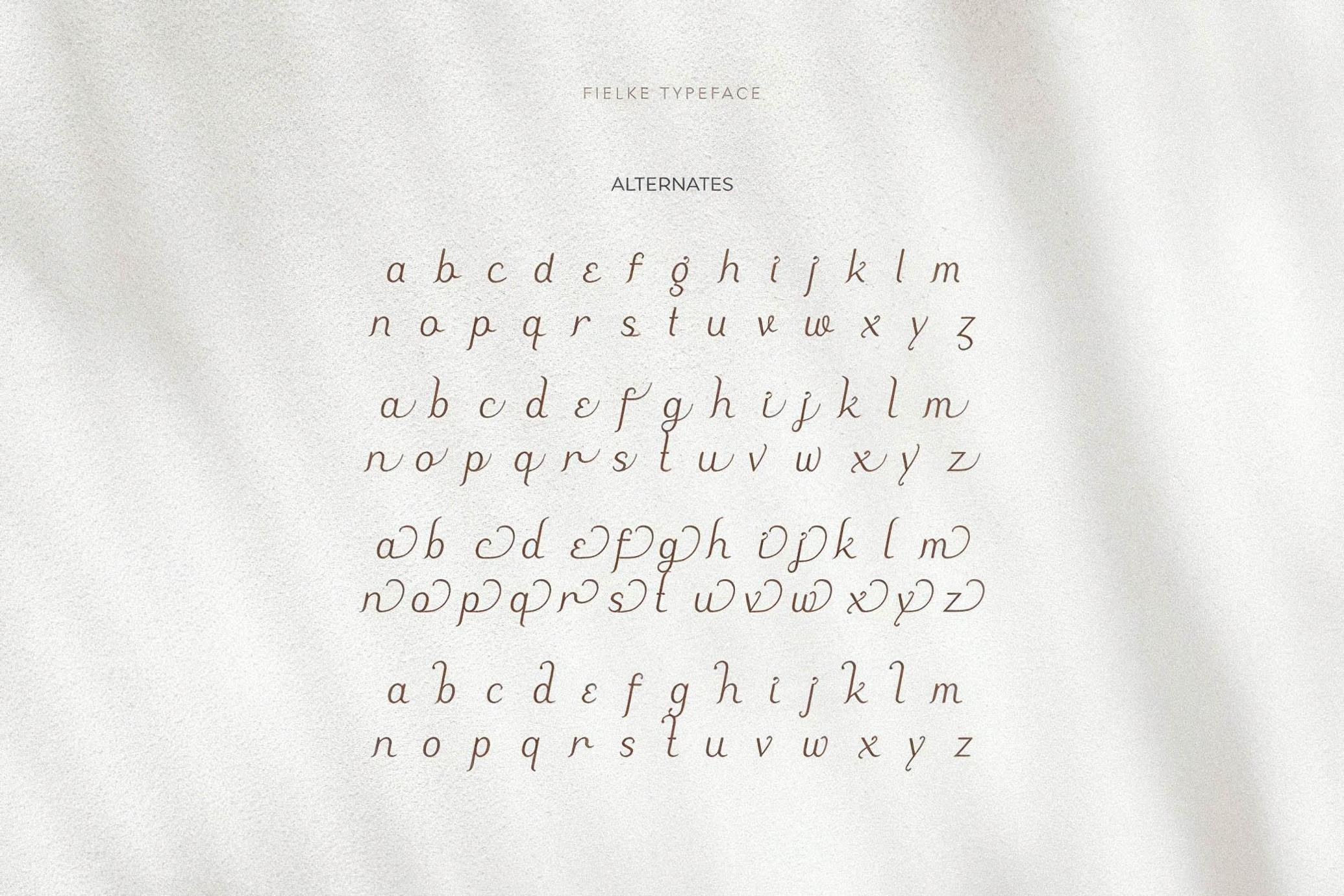 Fielke - Decorative Serif