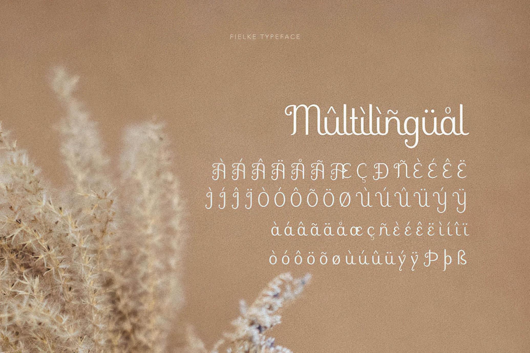 Fielke - Decorative Serif