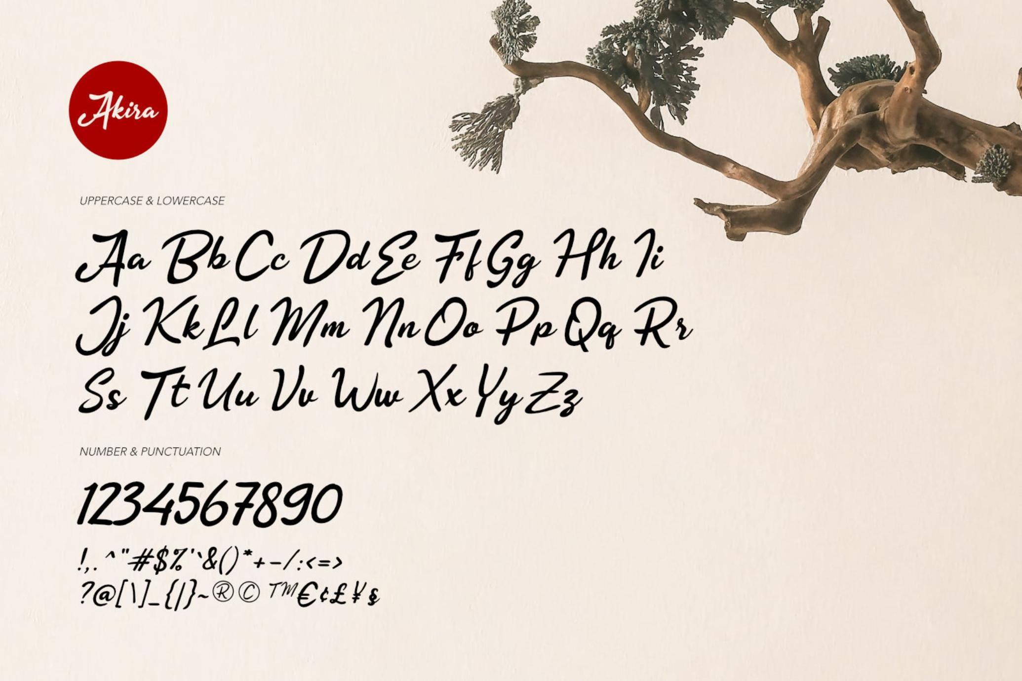 Akira - Zen Brush Script