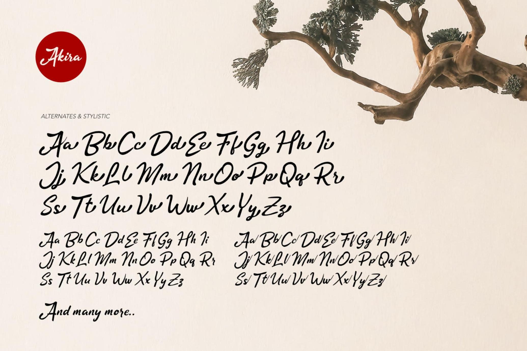 Akira - Zen Brush Script