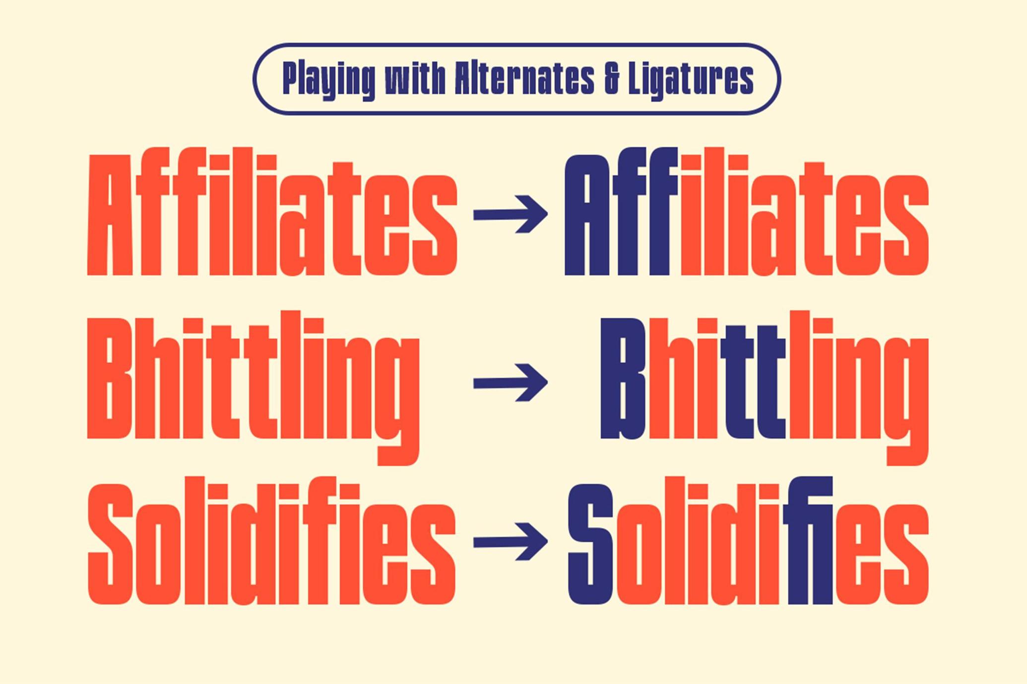 TNSC Bashin - Condensed Sans