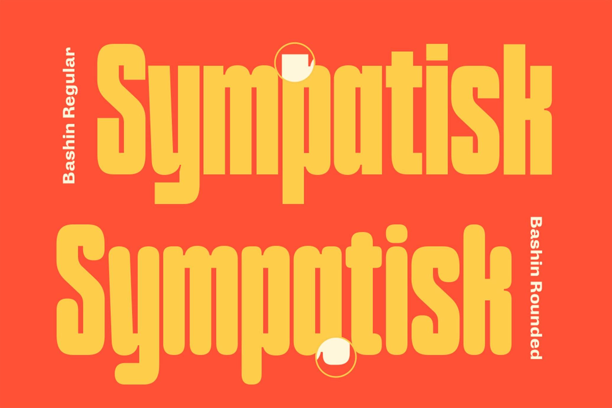 TNSC Bashin - Condensed Sans