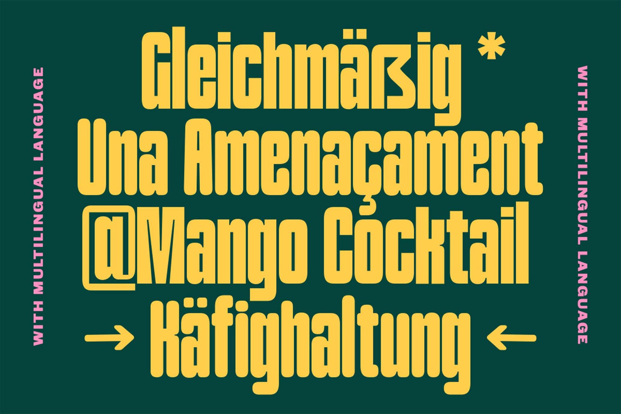 TNSC Bashin - Condensed Sans