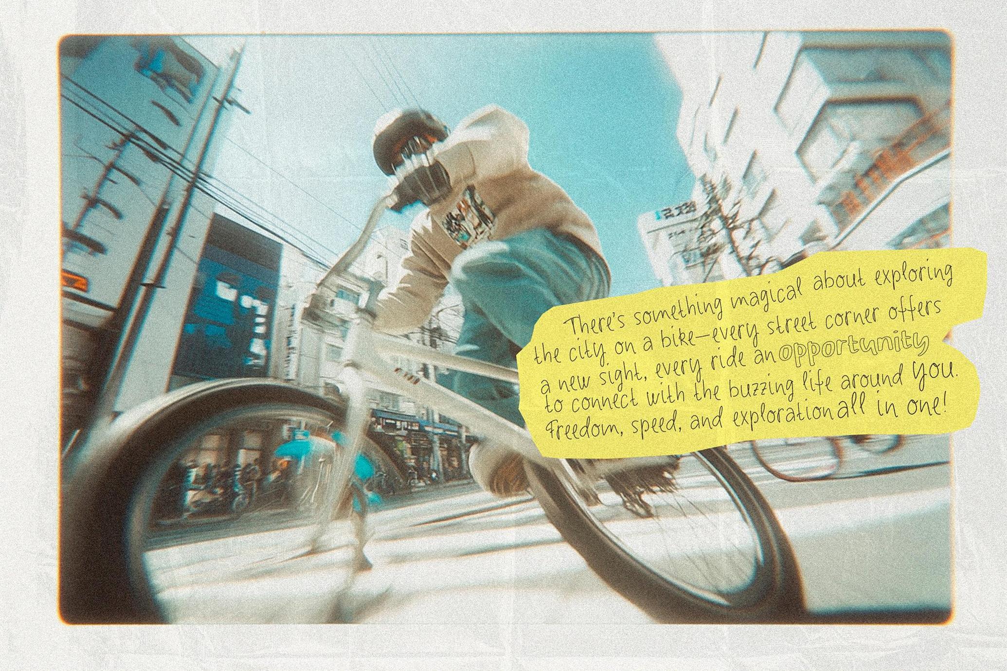Noisy Echo — Handwritten Font Trio