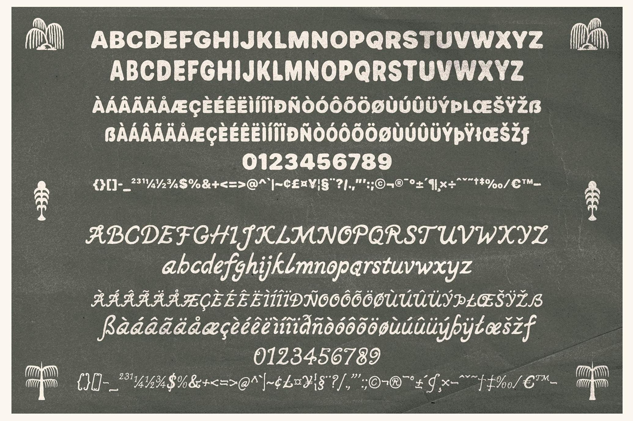 SORIO Hand-Written Font Duo
