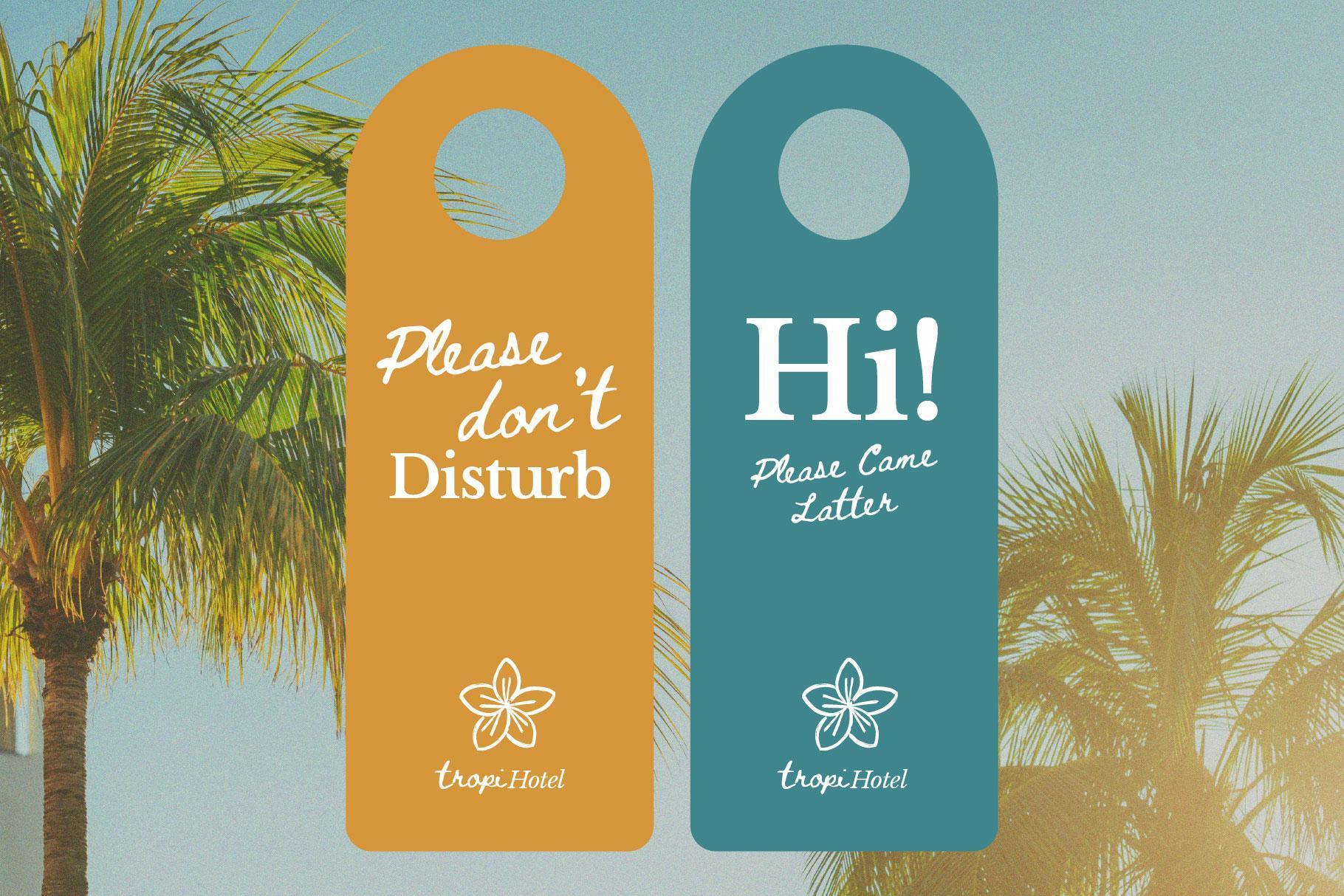 Tropical Aesthetic Illustration