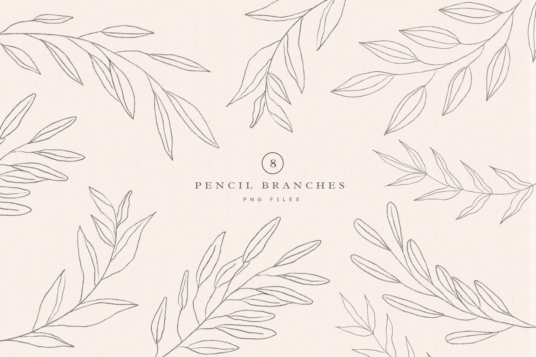 Earthy Abstract Shapes + Logos