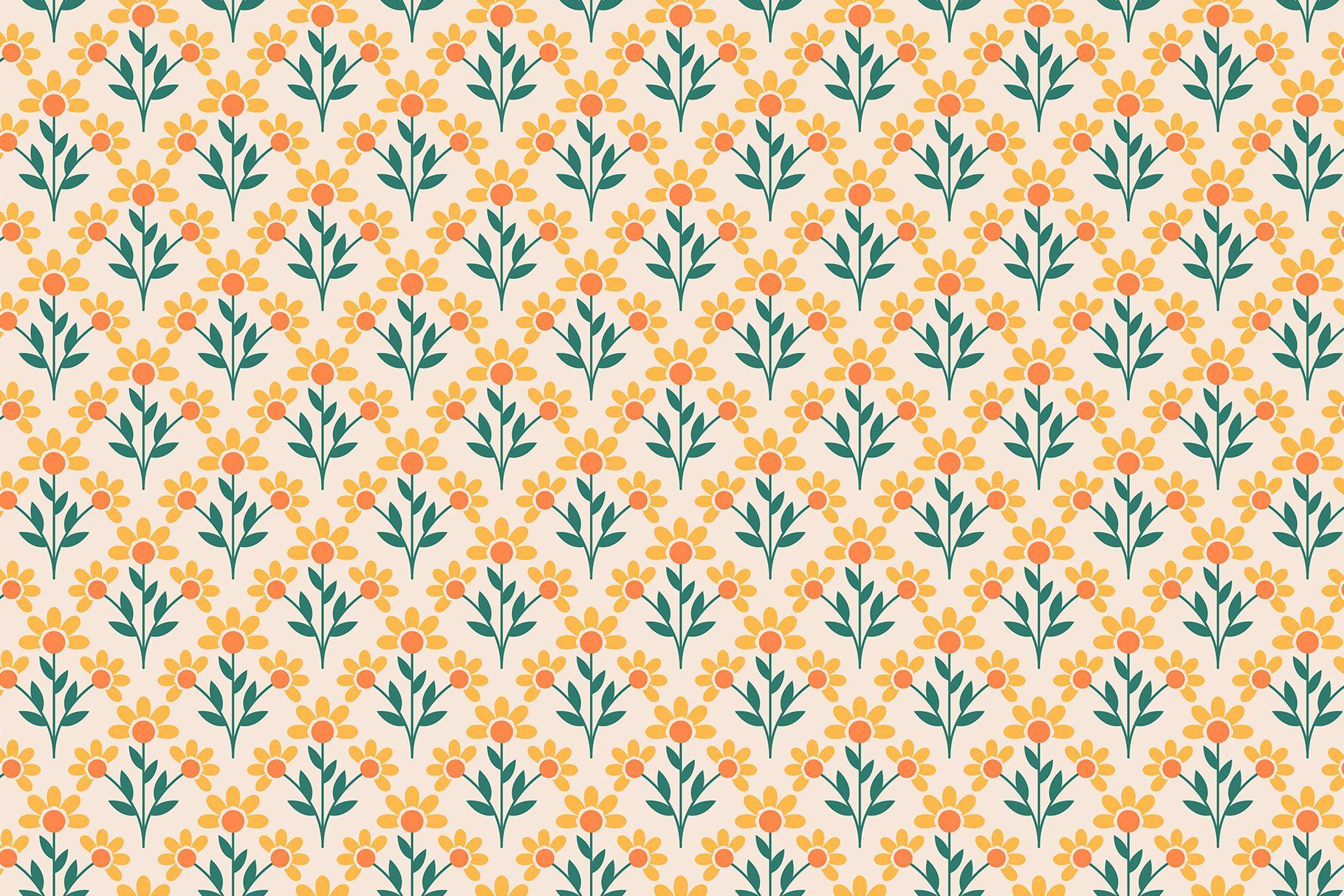Blossom: Patterns, Shapes & Frames