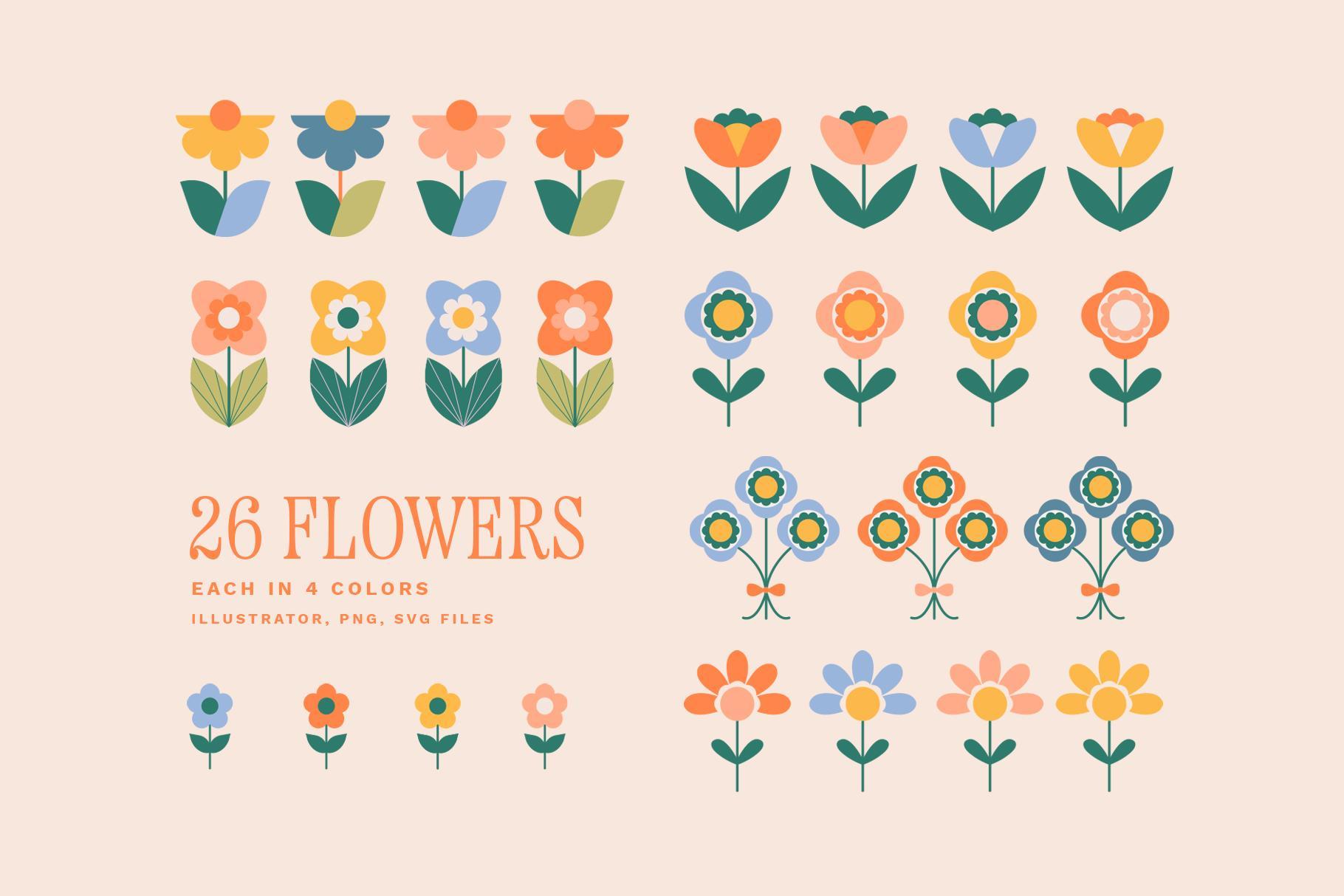 Blossom: Patterns, Shapes & Frames