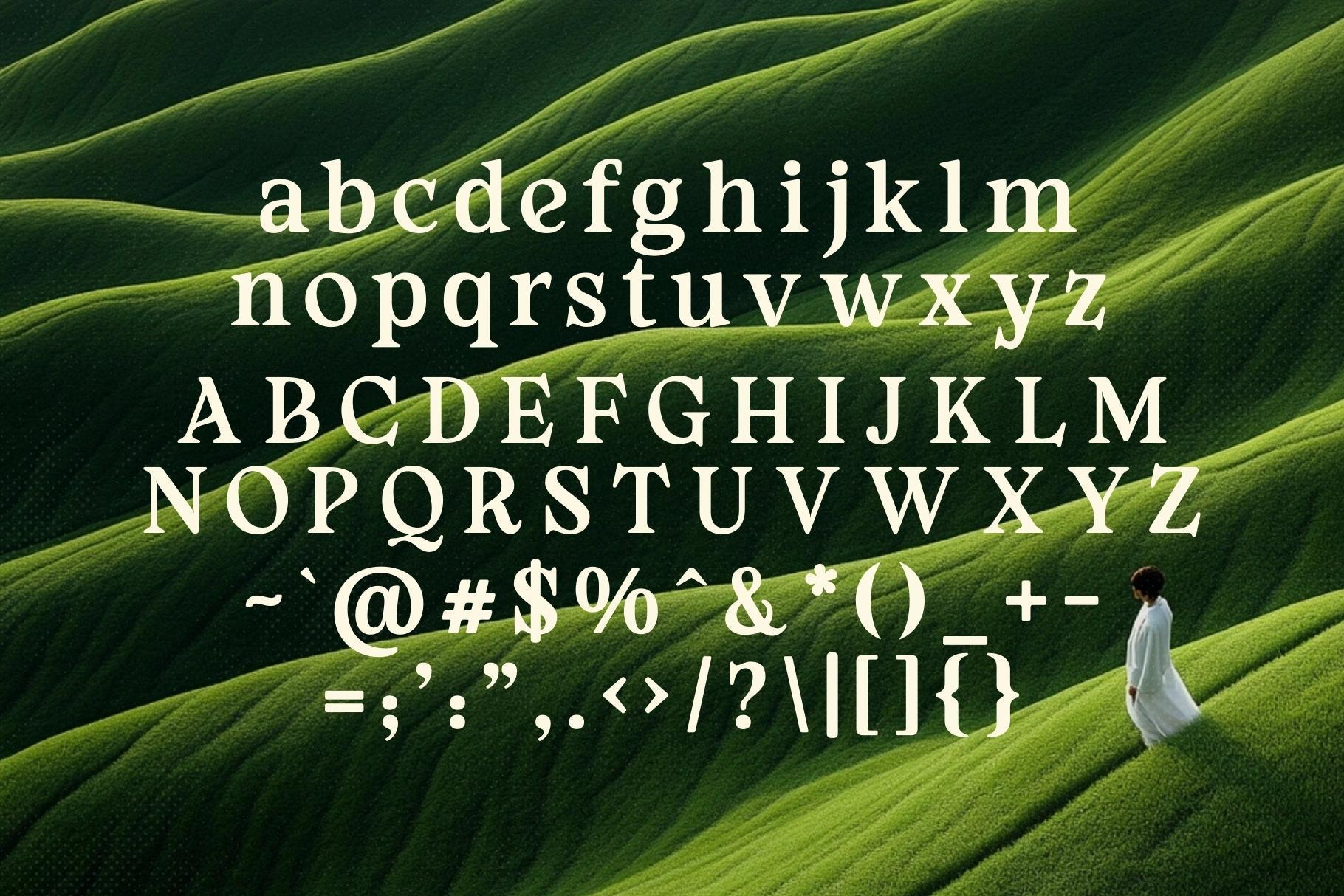 Wexforde - Soft Vintage Serif Typeface