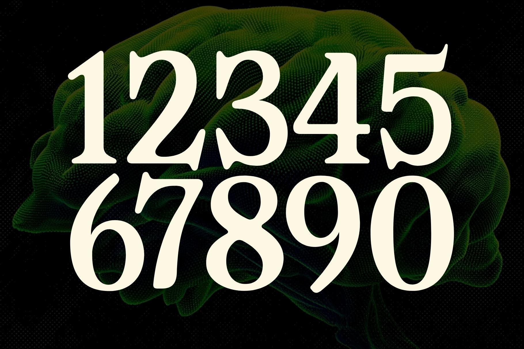 Wexforde - Soft Vintage Serif Typeface