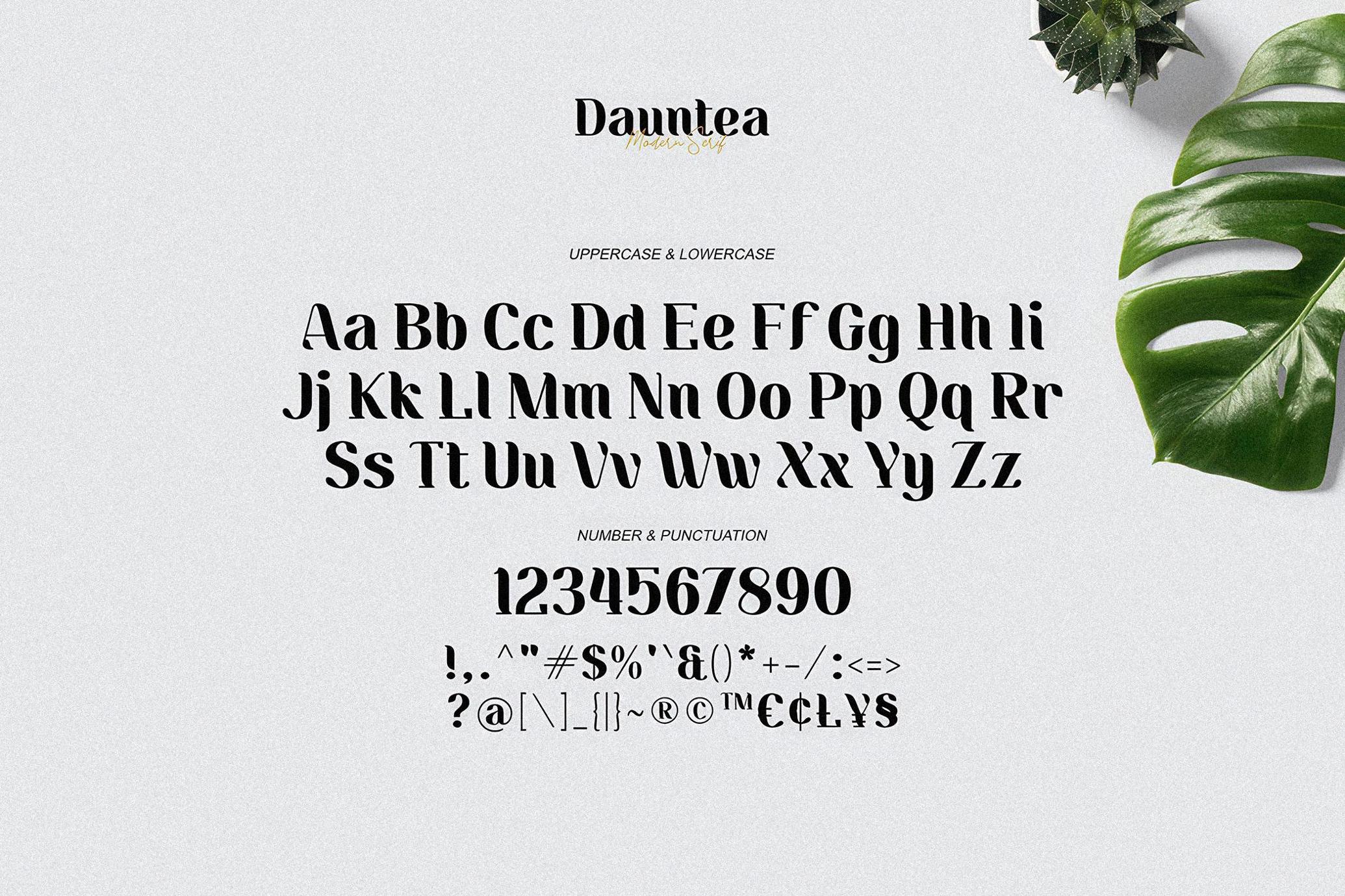 Dauntea - Modern Serif Font