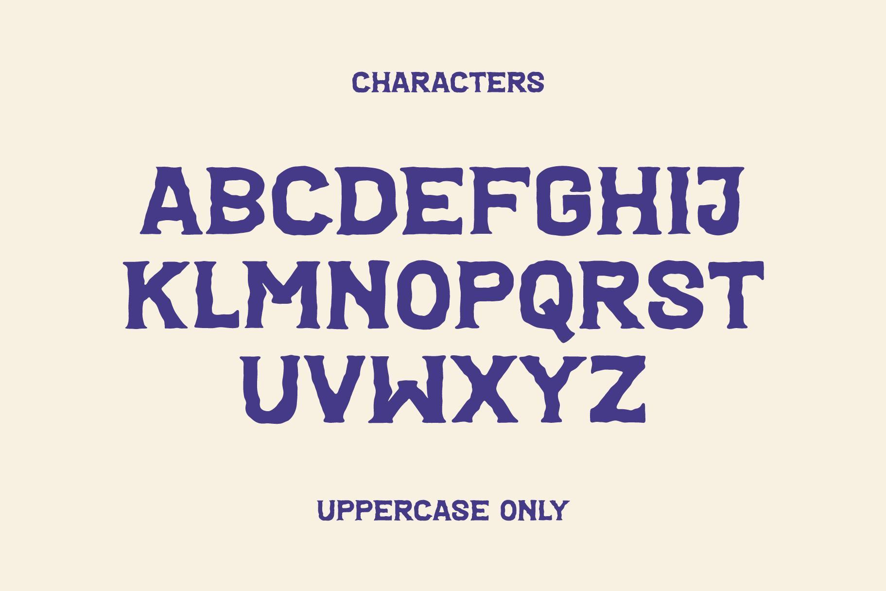 Unionsigns - Bold Vintage Font