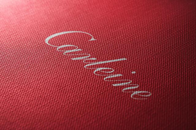 Premium Box Surface Logo Mockup
