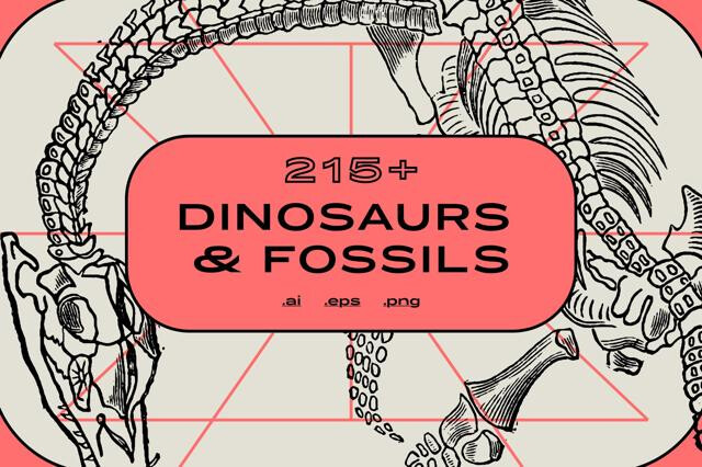 Dinosaurs and Fossils