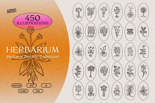 Herbarium Medieval Botany Collection