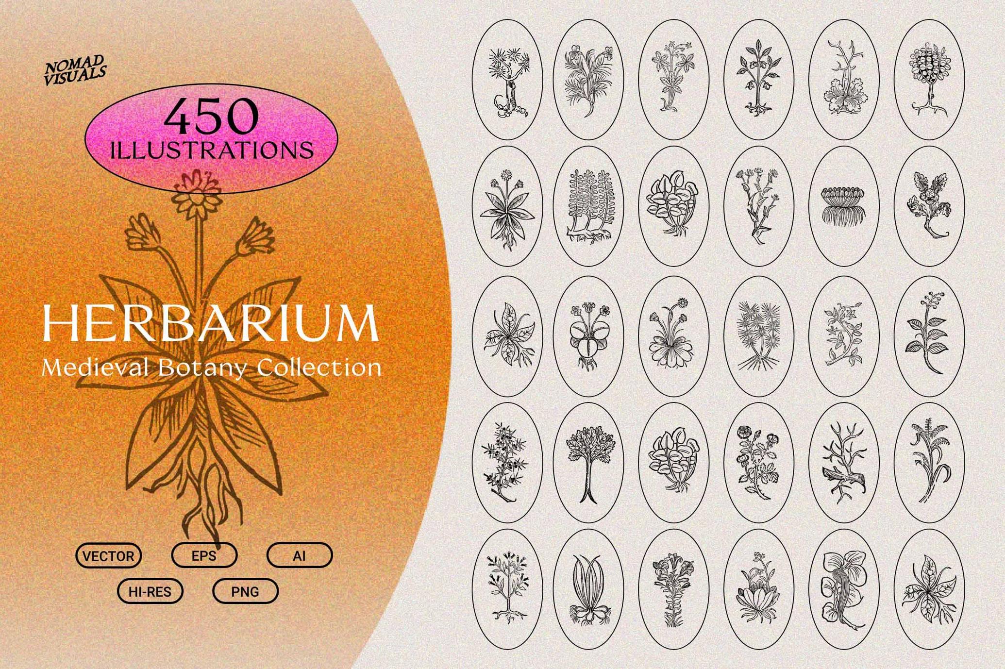 Herbarium Medieval Botany Collection