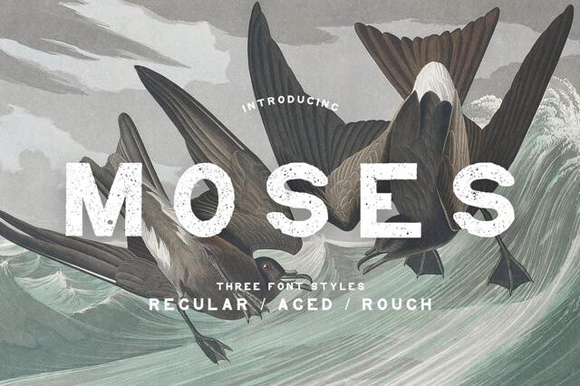 Moses Display Grotesque Typeface