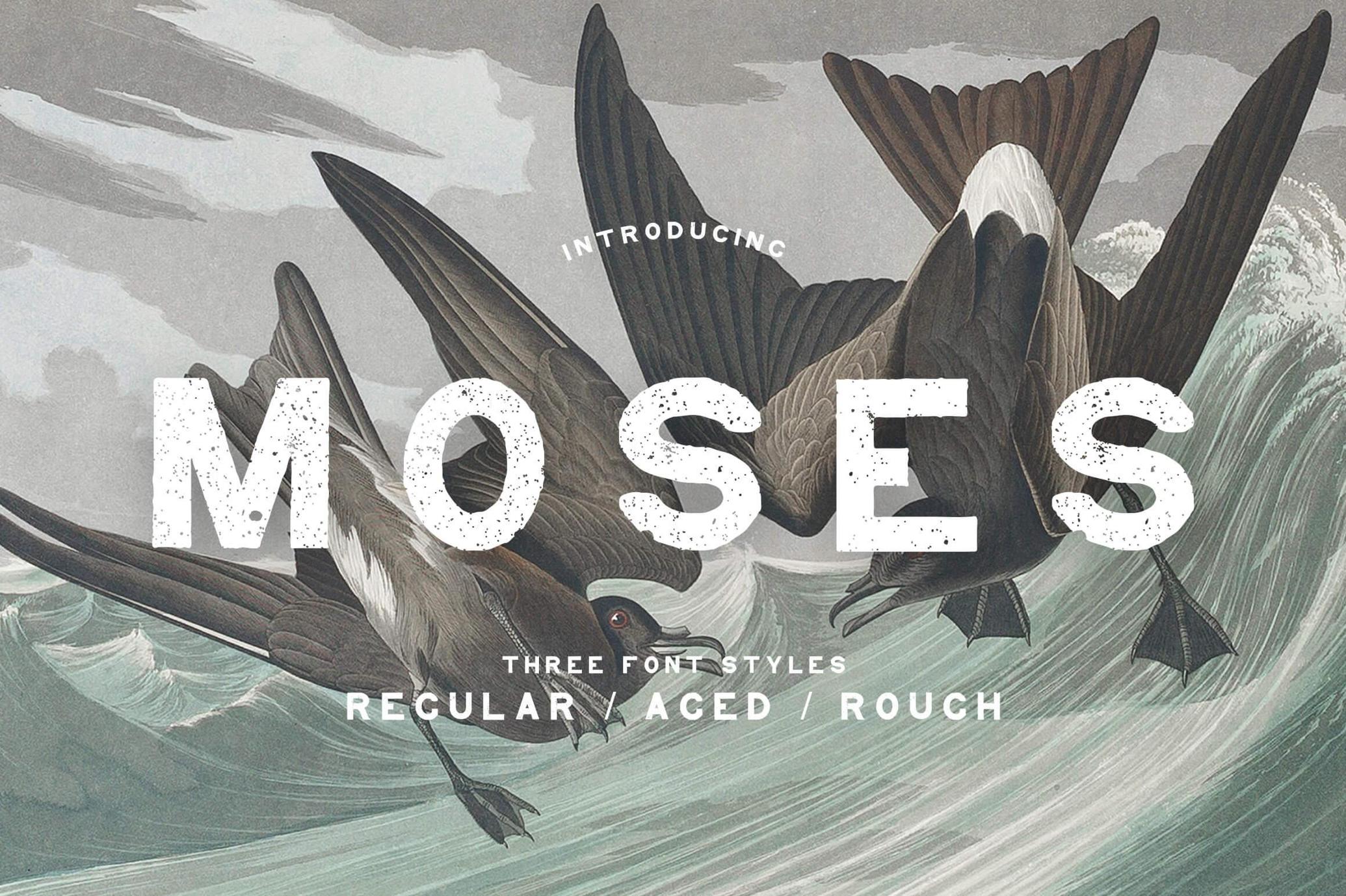 Moses Display Grotesque Typeface